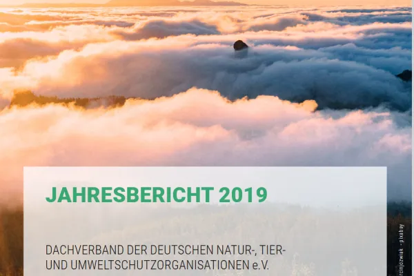 Screenshot Titelblatt DNR-Jahresbericht 2019 - Bergspitze im Wolkenmeer